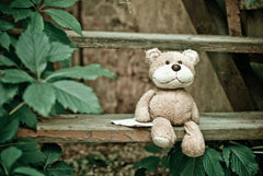 Teddy bear centerpiece