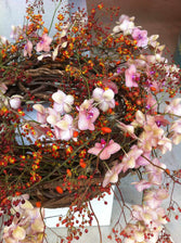 Swing into spring with Our Blooming Spring Wreath Ideas
