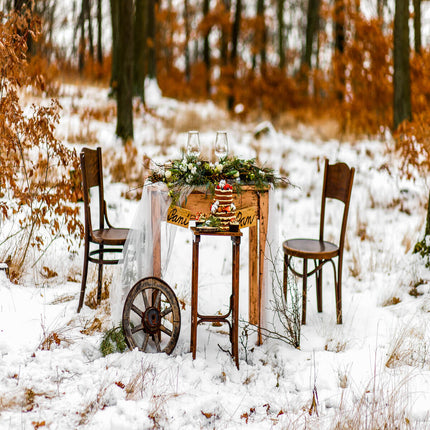 Spread the Icy Magic with These Winter Tablescapes Ideas!