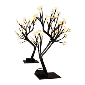 LED Centerpiece