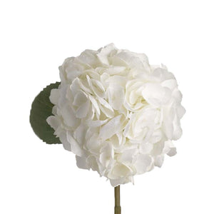Hydrangea & Carnation Mums collection
