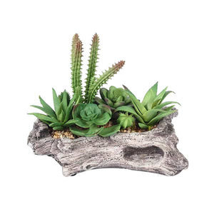 Tabletop Planters collection