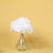 White hydrangea bouquet in a glass vase with a wine glass on a yellow background.