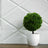 Decorative faux topiary in a white pot against textured wall backdrop.