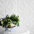 Decorative plant arrangement on a table with textured white wall backdrop.