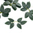 Green leaf branches on a white background for floral arrangements or decor.