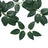 Artificial green leaf garland on a white background