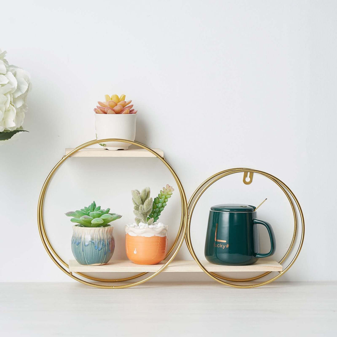 Modern round shelf with potted succulents and a teal mug.