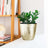 Gold hammered planter with green plant, styled on a shelf.