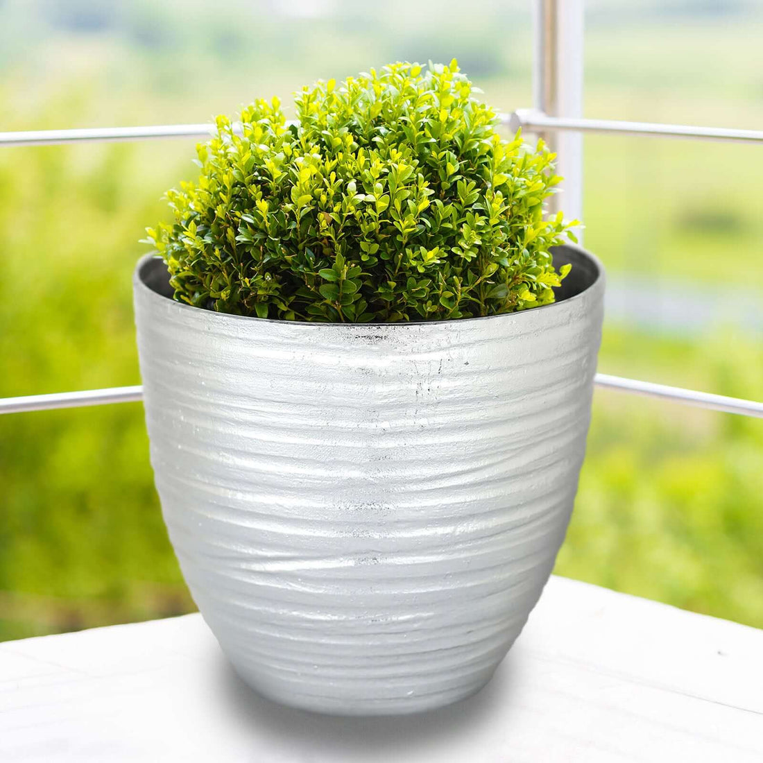 Decorative silver pot with greenery against a blurred outdoor background.