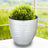 Decorative silver pot with greenery against a blurred outdoor background.