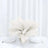 White feather centerpiece arrangement on a dining table.