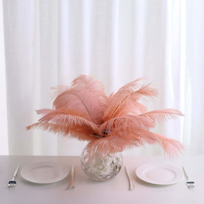 12 Pack Mauve Natural Plume Real Ostrich Feathers, DIY Centerpiece Fillers 13"-15"