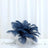 Navy blue feather centerpiece on a dining table