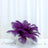 Purple feather centerpiece on a dining table with white plates.