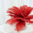Red feather arrangement in a glass vase on a white background.