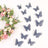 Decorative paper butterflies in navy blue and white, arranged with floral accents.
