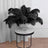 Black feather arrangement in a glass vase on a modern table.