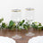 Elegant clear wine glasses with gold rim, perfect for any occasion.