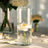 White rose in a clear vase with water, surrounded by petals.