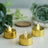 Gold LED tea lights with flame design, perfect for decor and ambiance.