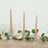 Pink taper candles in glass holders with greenery and flowers on a table.