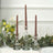 Elegant glass candle holders with brown candles, styled for a table setting.