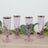 Set of four elegant pink champagne flutes with gold rims.