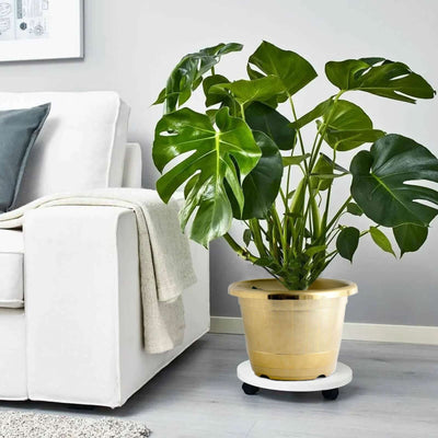 Gold Shiny Finished Rim Large Barrel Planter Pot, Indoor/Outdoor Decorative Flower Pot 14"