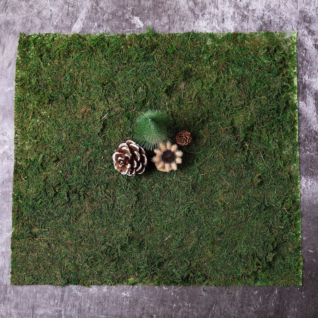 Natural moss mat with pinecones and decorative elements.