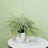 Artificial green plant in a white pot on a marble table.