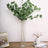 Eucalyptus bouquet in a tall glass vase on a wooden table.