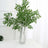 Green leafy branches in a clear glass vase on a white table.