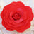 Red paper flower decoration, layered petals in vibrant hues. #whtbkgd