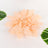 Peach-colored flower decor with green leaves on a white background #whtbkgd
