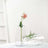 Clear glass vase with pink rose and green stem, elegantly displayed.