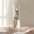Elegant glass vase with a rose and water, softly lit.