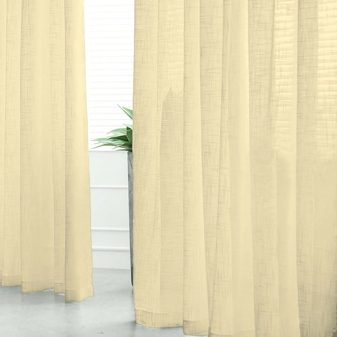 Sheer beige curtains draping elegantly in a bright room with a plant.