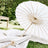 White parasol on a picnic blanket in a garden setting.