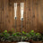 Elegant candle holders with glass cylinders and chrome bases, surrounded by greenery.