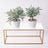 White coffee table with two potted plants on a plain background