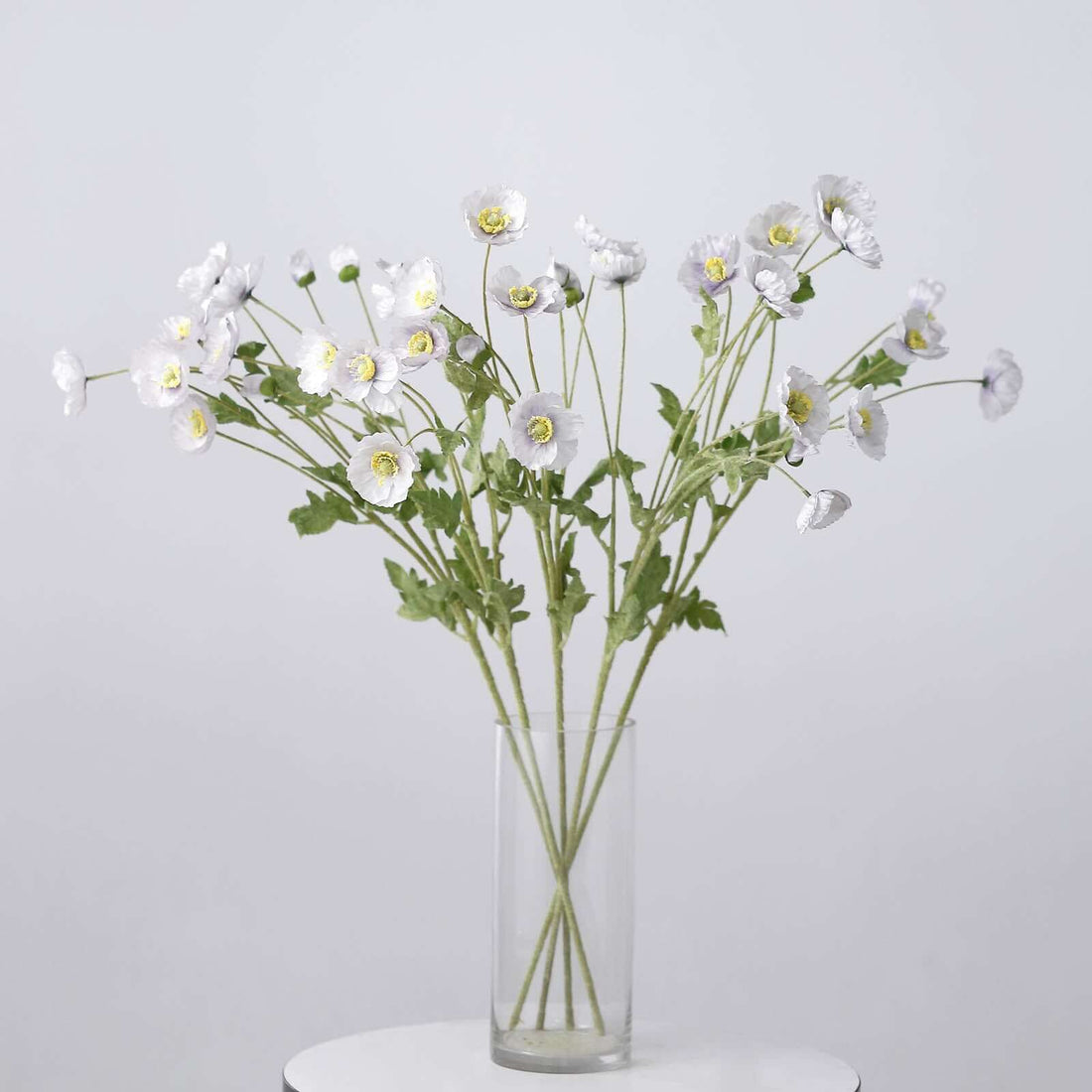 White flowers in a clear vase on a white background