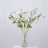 White flowers in a clear vase on a white background