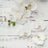 White orchid flower arrangement on rustic wooden background. #whtbkgd