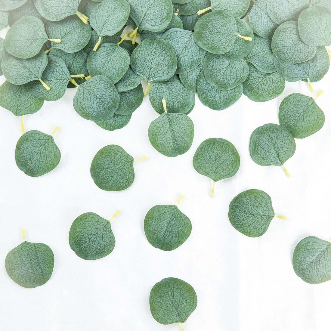 Green herbal leaves scattered on a white background
