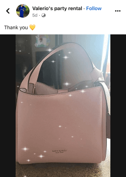 Valerio's Party Rental Post showcasing a purse won from efavormart  