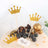 Gold crown cake toppers on a decorated cake with blueberries and dried fruit.