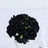 Black rose bouquet in a glass vase.