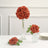 Red rose bouquet and arrangements in glass vases on white table
