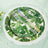 Tropical-themed dinnerware set with palm leaf designs and clear utensils.